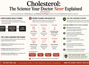 Cholesterol: The Science Your Doctor Never Explained