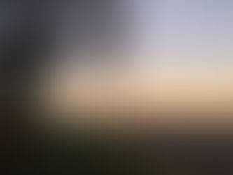 Mental Health Support and Occupational Therapy