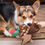 Thumbnail: Ike Pheasant Fluff & Tuff