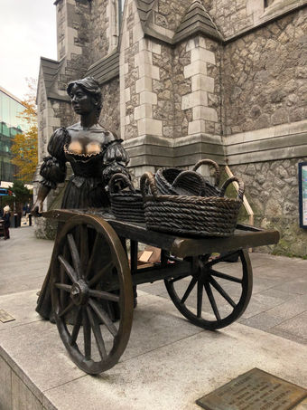 2021-11-13 14.12.22.jpg