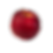 Wild Twist Apple