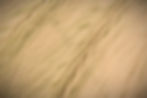 360floralflaves-Q7ynWyhaLqc-unsplash_edited.jpg