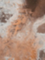melina-kiefer-Ly7wjE0qjWU-unsplash_edited.jpg