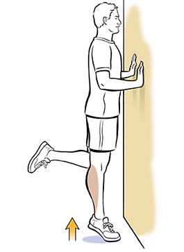 Single limb heel raise.png