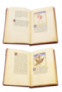 Unbenannt2.JPG