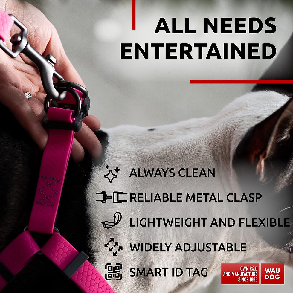 Thumbnail: Pink Waterproof Dog Harness Adjustable for Small Dogs S Size 1622 inch