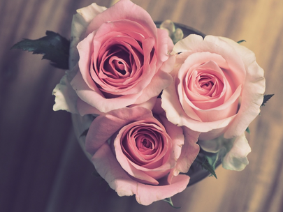 ROUTINA銀座は１周年を迎えます！１周年記念イベントを開催