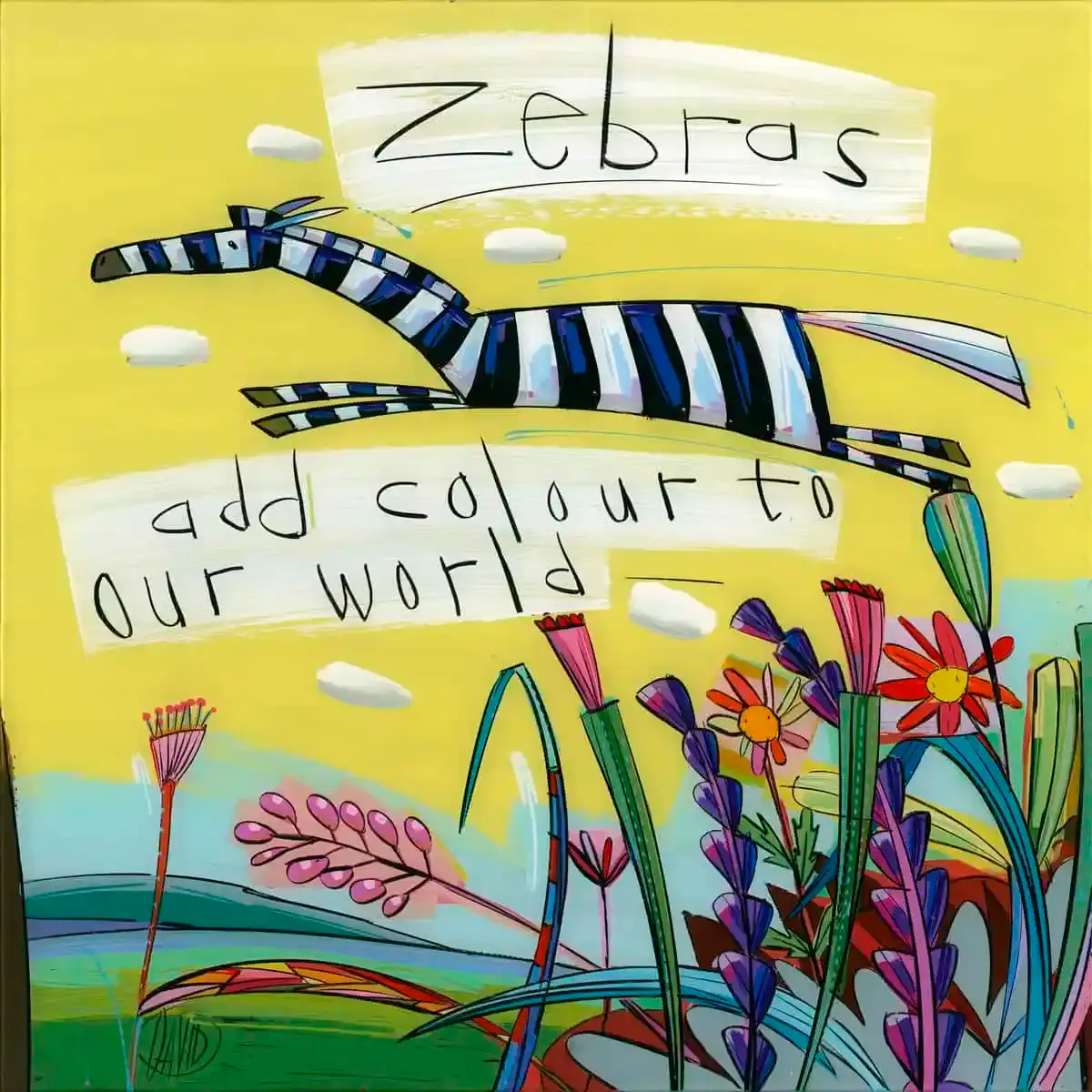 David Kuijers | Zebras add Colour