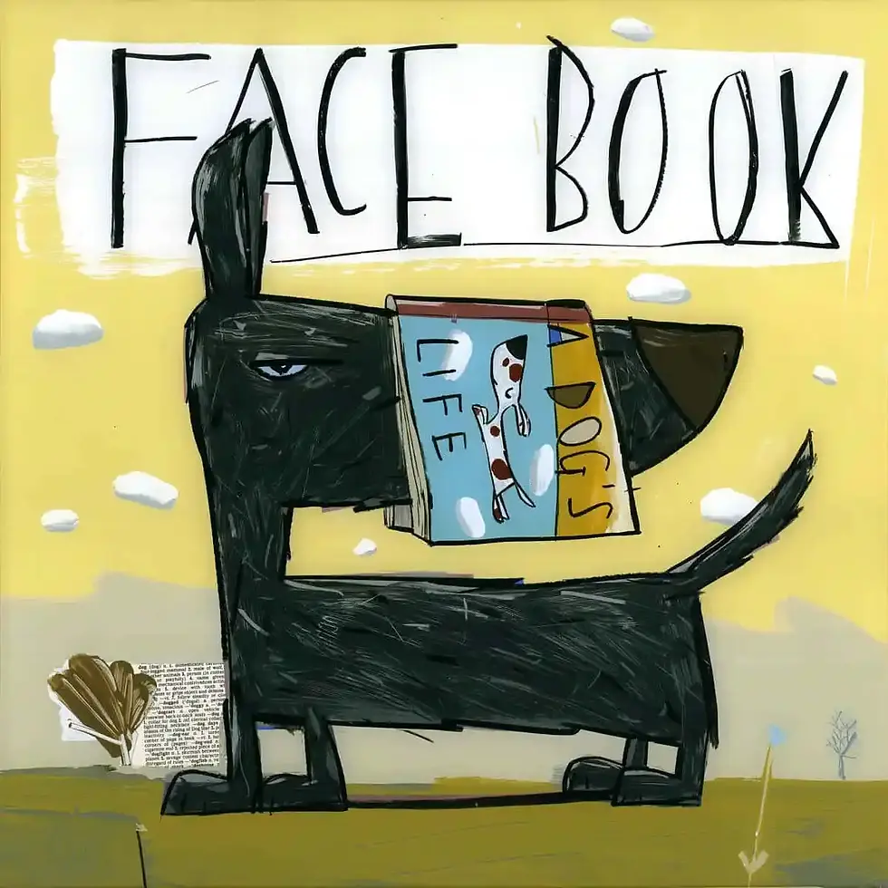 Thumbnail: David Kuijers | Face Book