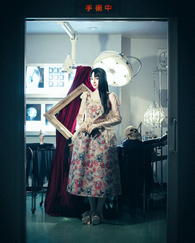 Flower＆Tomie bustier | pays des fees