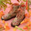 サムネイル： 11月お届け・carnivorous plant boots