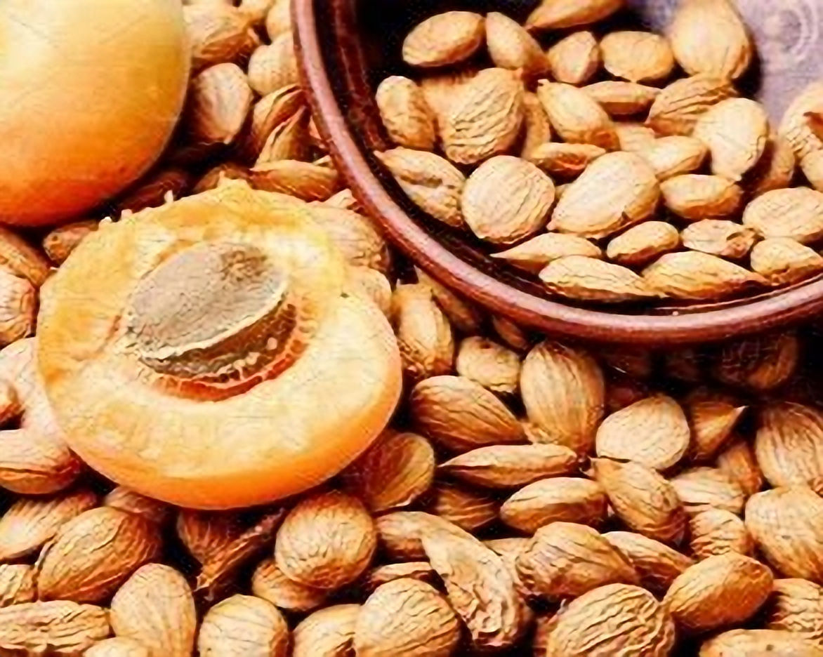 Apricot Seed