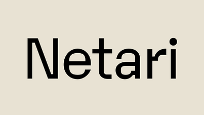 Netarin logo.