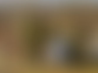 Enkel markering tirsdag 21.april klokken 14.00 på Halle Mølle.