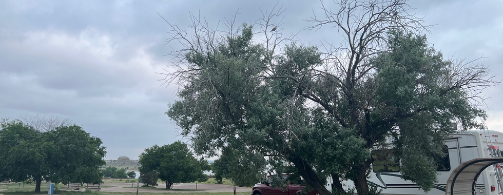 Campground scene at Lake Pueblo State Park featuring a parked RV and truck under a large tree. The area is surrounded by greenery and picnic shelters, with an overcast sky adding a calm and cozy atmosphere.