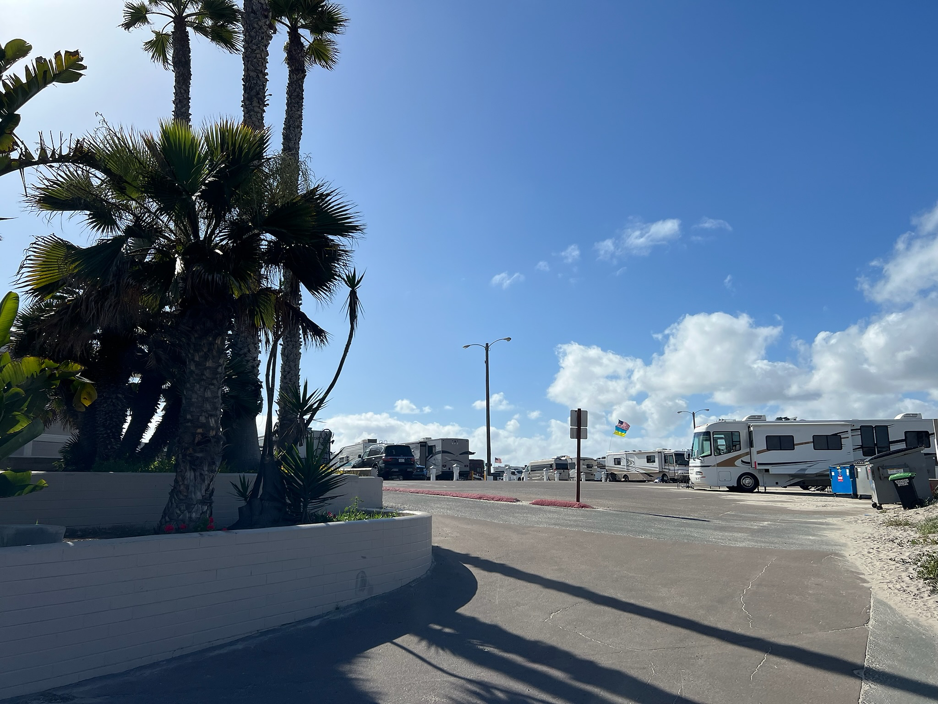 Palm trees and tropical plants in a landscaped planter beside a coastal RV parking area, with motorhomes lined up under a bright blue sky and a colorful flag waving in the ocean breeze.