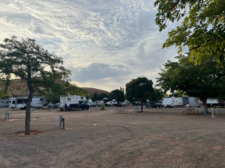 A wide, open RV park with several campers and trailers parked beneath scattered trees under a cloudy sky during the evening.