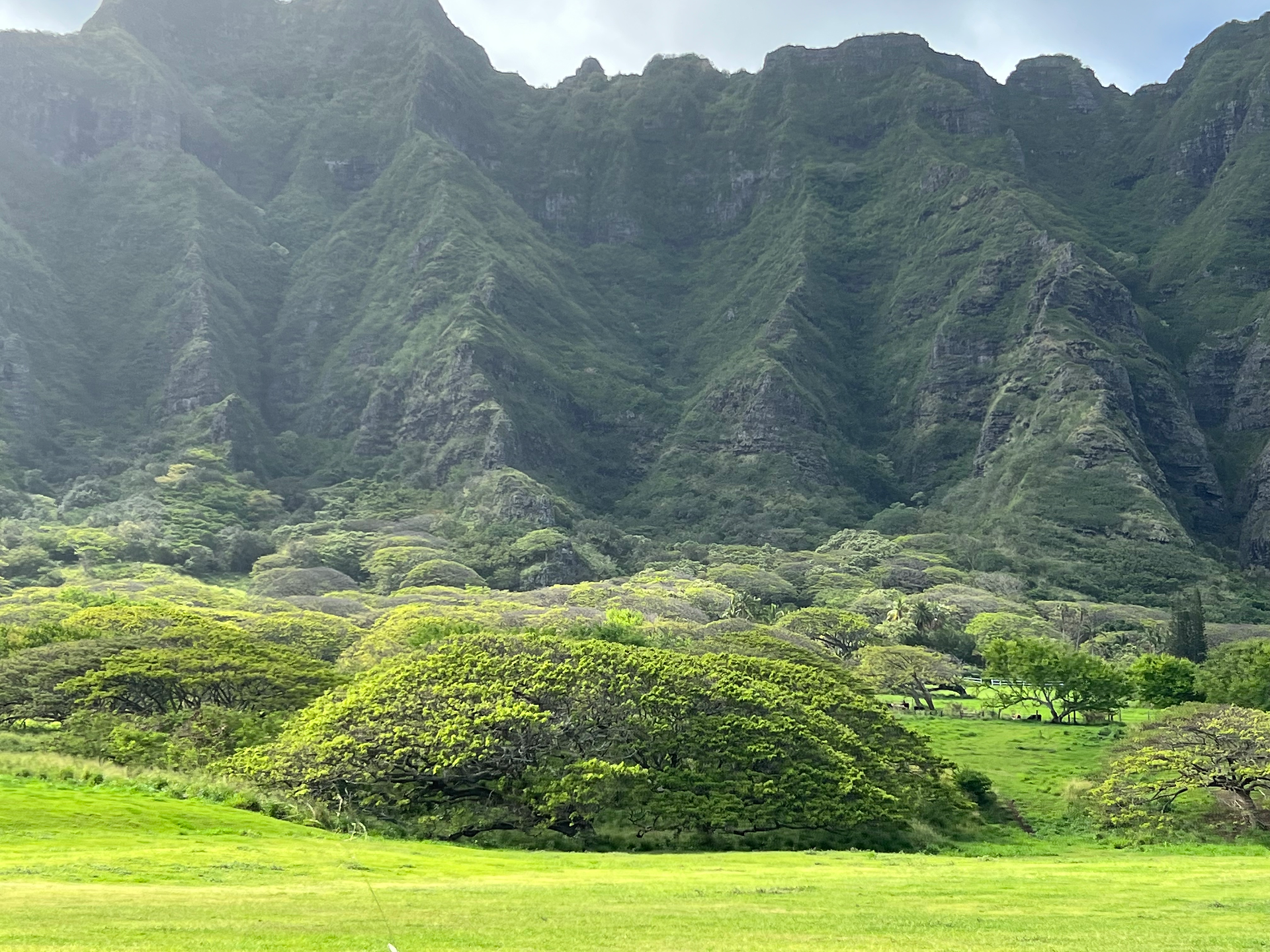 Big green mountains of Hawaii