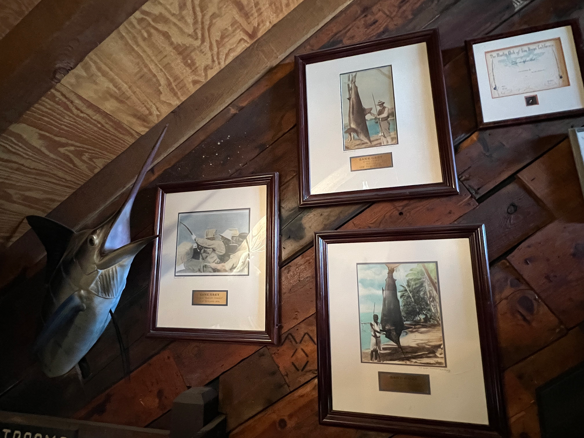 Images of people posing in front of large fish in the Zane Grey Museum in Flagstaff, Arizona.