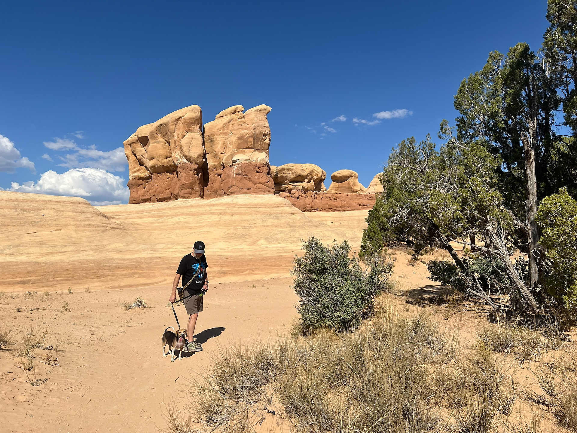 A man walks his small dog along a sandy trail surrounded by desert shrubs and juniper trees at Devil’s Garden in Grand Staircase–Escalante National Monument, Utah. In the background, striking red and tan sandstone formations rise against a vivid blue sky with scattered white clouds.