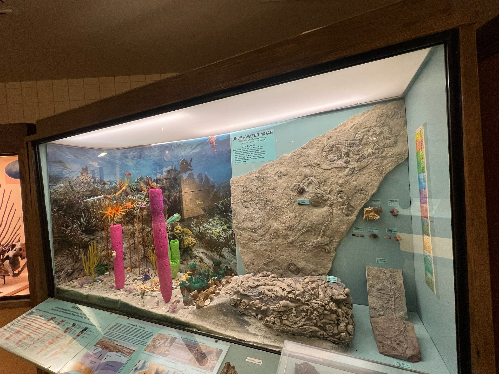 A museum display titled “Underwater Moab” showcasing an ancient marine ecosystem from the Paleozoic era. The exhibit features a large slab of fossilized sea floor with visible burrows and shell impressions, surrounded by smaller fossil specimens. On the left, a colorful 3D diorama recreates a prehistoric ocean scene with coral-like sponges, sea plants, and marine creatures. Informational panels describe how the Moab region was once covered by shallow seas millions of years ago.