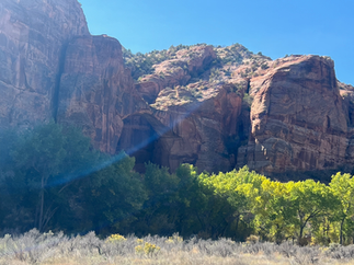 Close-up view of red sandstone cliffs and a natural arch formation along the Escalante River Trail in Utah. Green and yellow trees line the canyon floor beneath the towering rock walls, illuminated by sunlight under a clear blue sky.