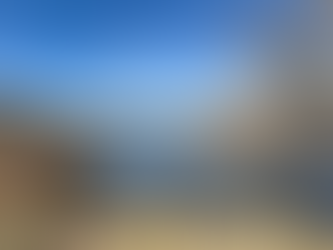 Scenic view of Canyon Lake with calm blue water, rocky shoreline, tall reeds, and a leafless desert tree in the foreground, with rugged mountains and clear blue sky in the background.