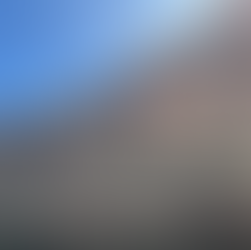 Steep rocky canyon wall at Canyon Lake with rugged reddish-brown stone, scattered desert shrubs, and tall saguaro cacti growing along the slope, reflected slightly in the calm water below.