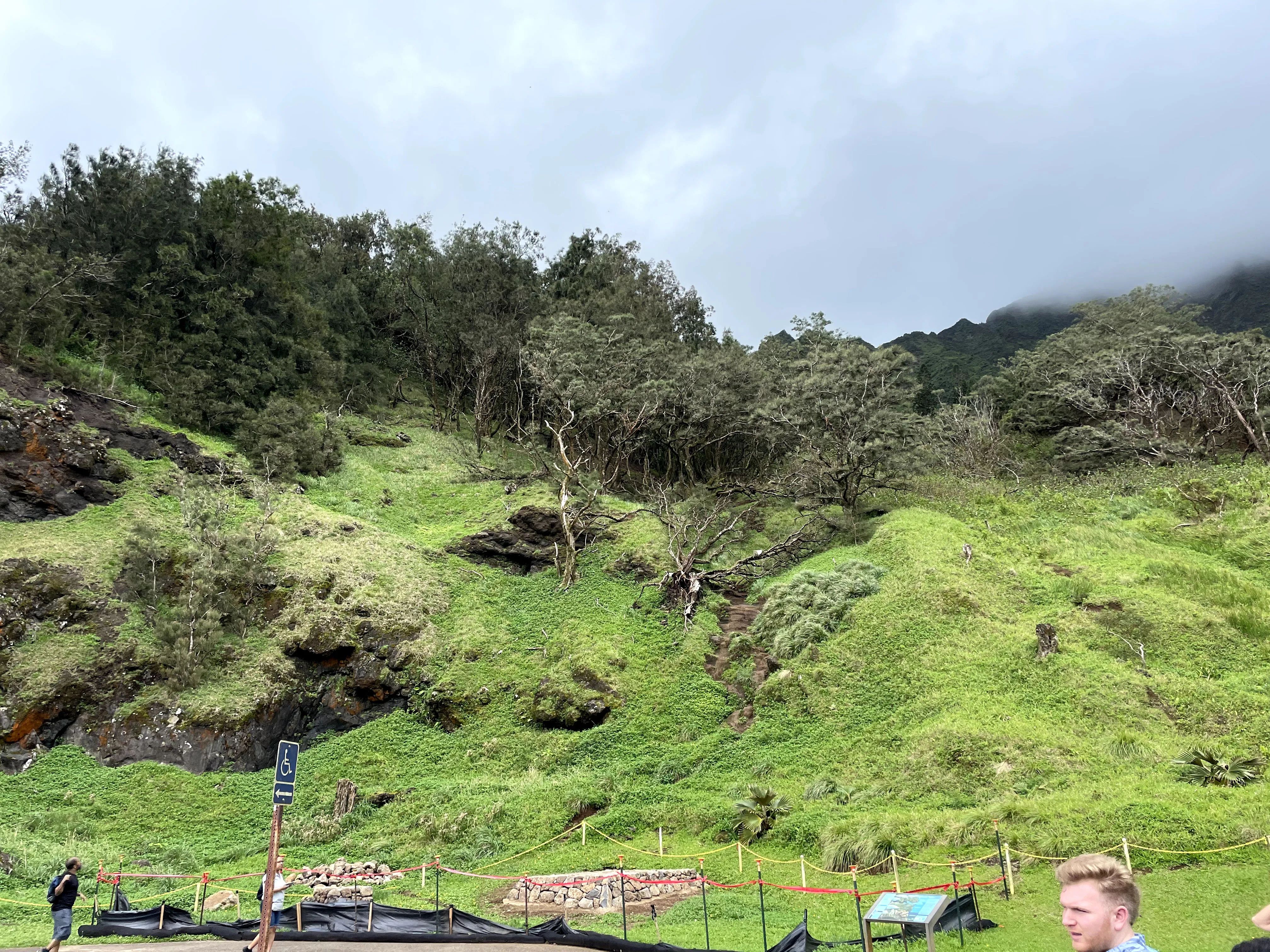 Beautiful  mountain side scenery in Hawaii. 