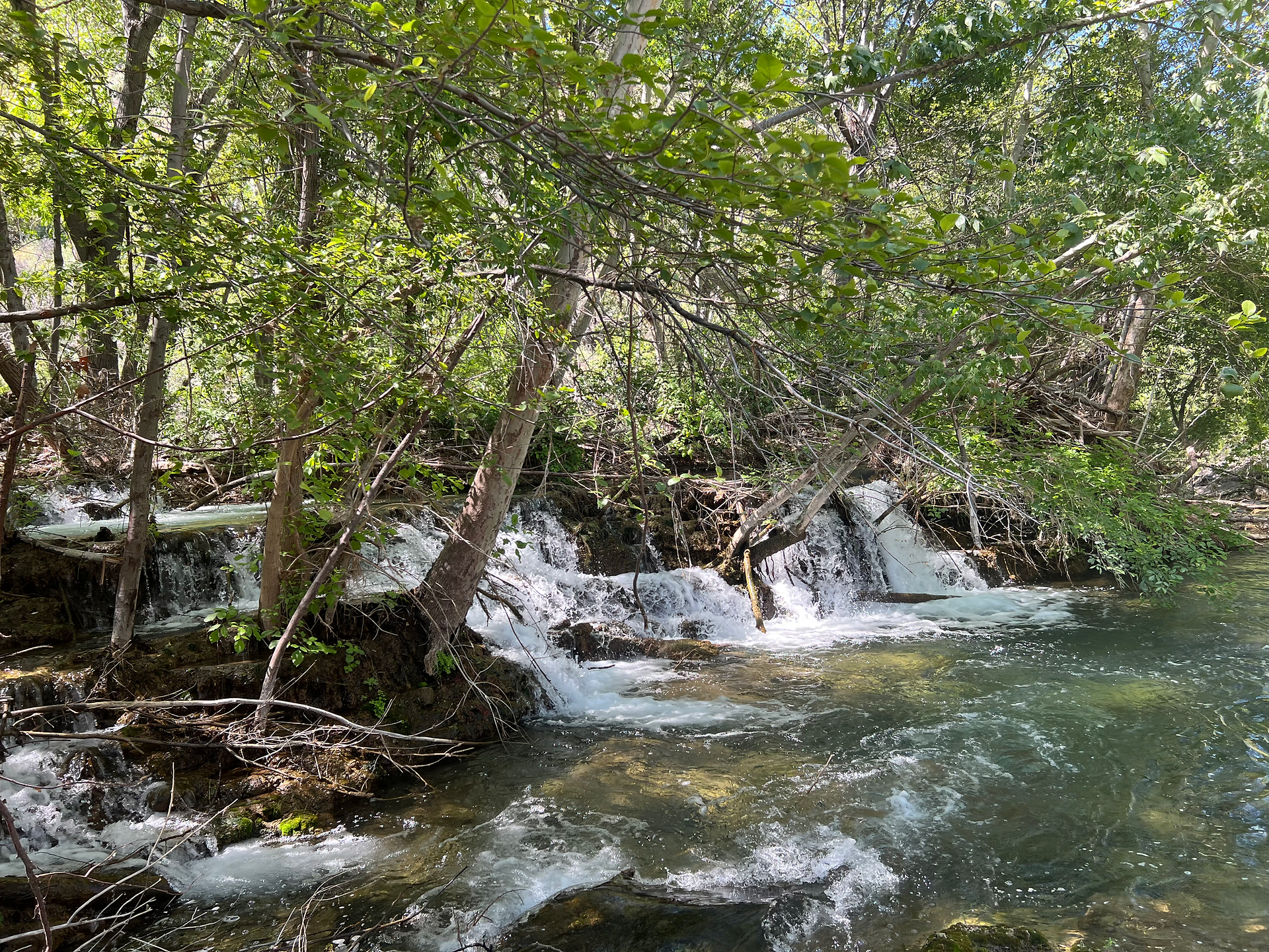 View of Verde river from hiking trail at Fossil Creek in Camp Verde. 