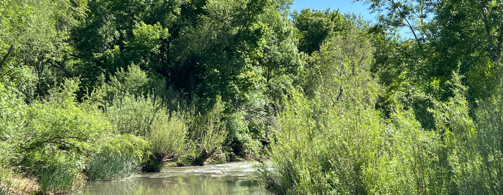 Verde river from hiking trail at Rezzonico Park in Camp Verde. 