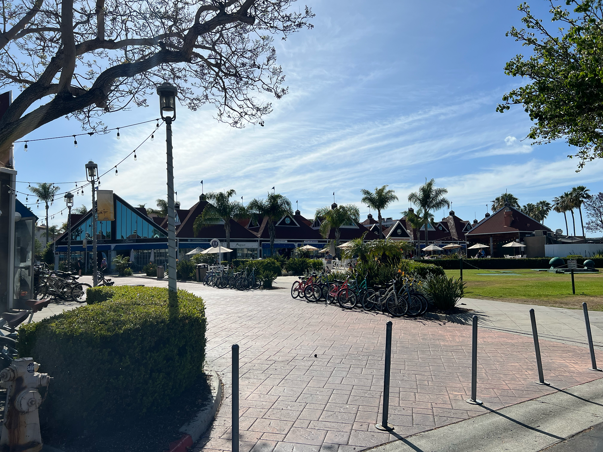 Sunny plaza at Coronado Ferry Landing with rows of rental bicycles, palm trees, and waterfront shops in the background under a blue sky.