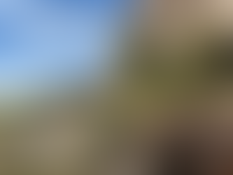 View of Beaver Creek flowing below the limestone cliffs at Montezuma Castle National Monument near Camp Verde, Arizona — peaceful desert landscape captured during The TinMan Adventures Utah to Arizona road trip