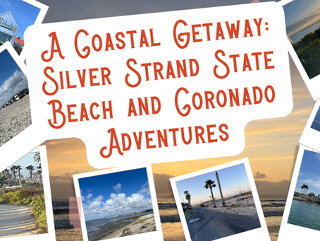 Scenic view of Silver Strand State Beach in Coronado, California, with the Pacific Ocean and sandy shoreline.