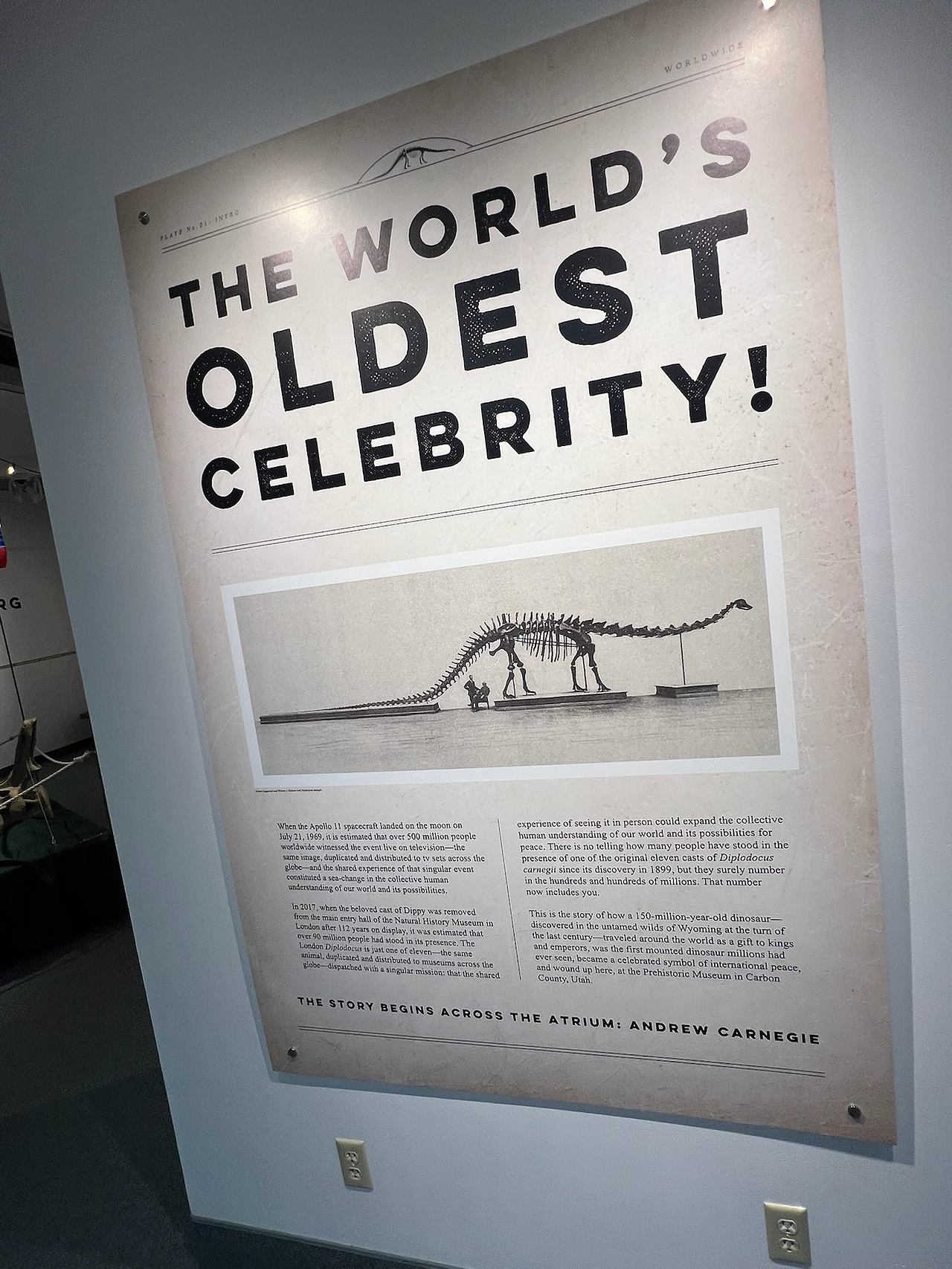 A large museum display poster titled “The World’s Oldest Celebrity!” featuring a historic photograph of a Diplodocus dinosaur skeleton cast. The text below tells the story of Andrew Carnegie’s 150-million-year-old Diplodocus, nicknamed “Dippy,” which became a global icon after replicas were sent to museums worldwide in the early 1900s. The exhibit connects this prehistoric celebrity’s fame to humanity’s shared fascination with science and discovery.