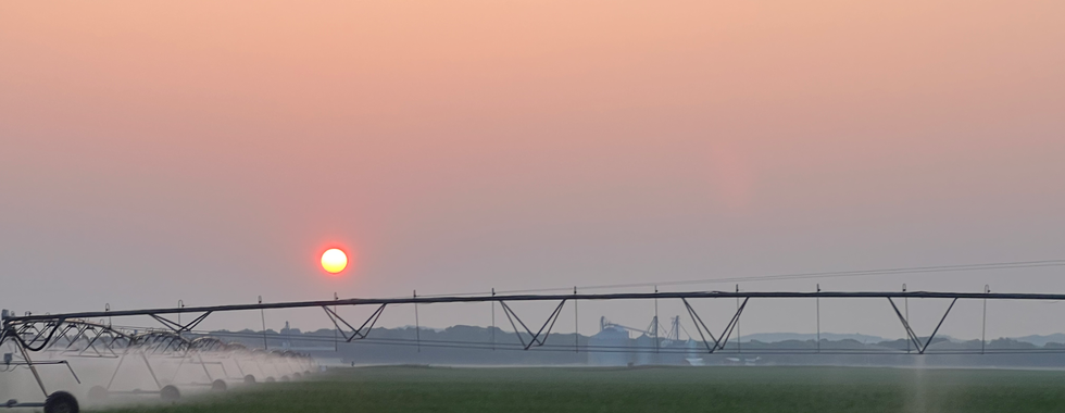  The image captures a beautiful sunset over an agricultural field with a large irrigation system in the foreground. The sun is a vivid orange-red, low on the horizon, casting a warm glow across the sky, which transitions from a soft pink near the horizon to a clearer gradient higher up. The irrigation system, a center-pivot type, spans across the field, spraying water and creating a mist that is backlit by the setting sun. In the distance, there are silhouettes of farm buildings and silos, adding to the rural landscape. The overall scene is serene and picturesque, showcasing the tranquility of farm life at dusk.