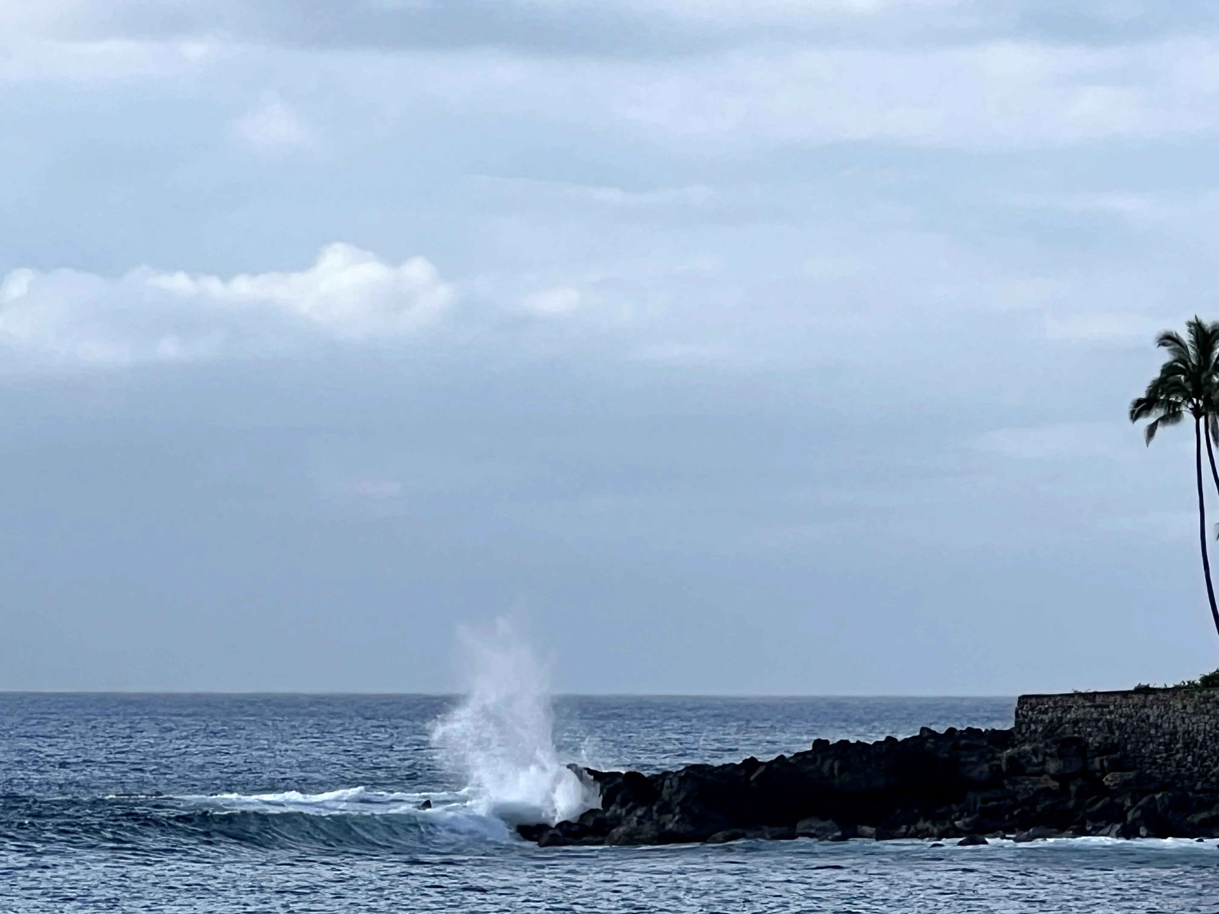 Waves hitting in Oahu  in Hawaii. 