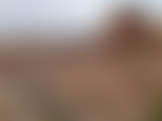 Towering red rock formations in Canyonlands National Park, Utah — dramatic sandstone cliffs and desert scenery captured during The TinMan Adventures Utah family road trip.