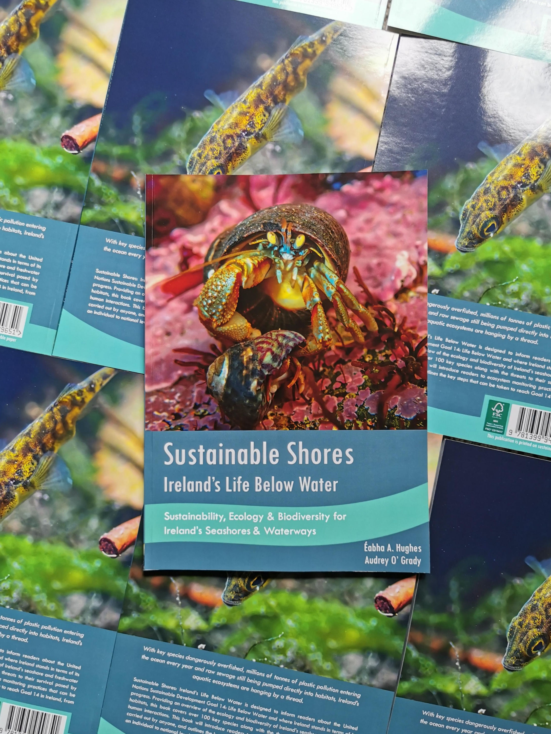 Sustainable Shores: Ireland's Life Below Water The Book