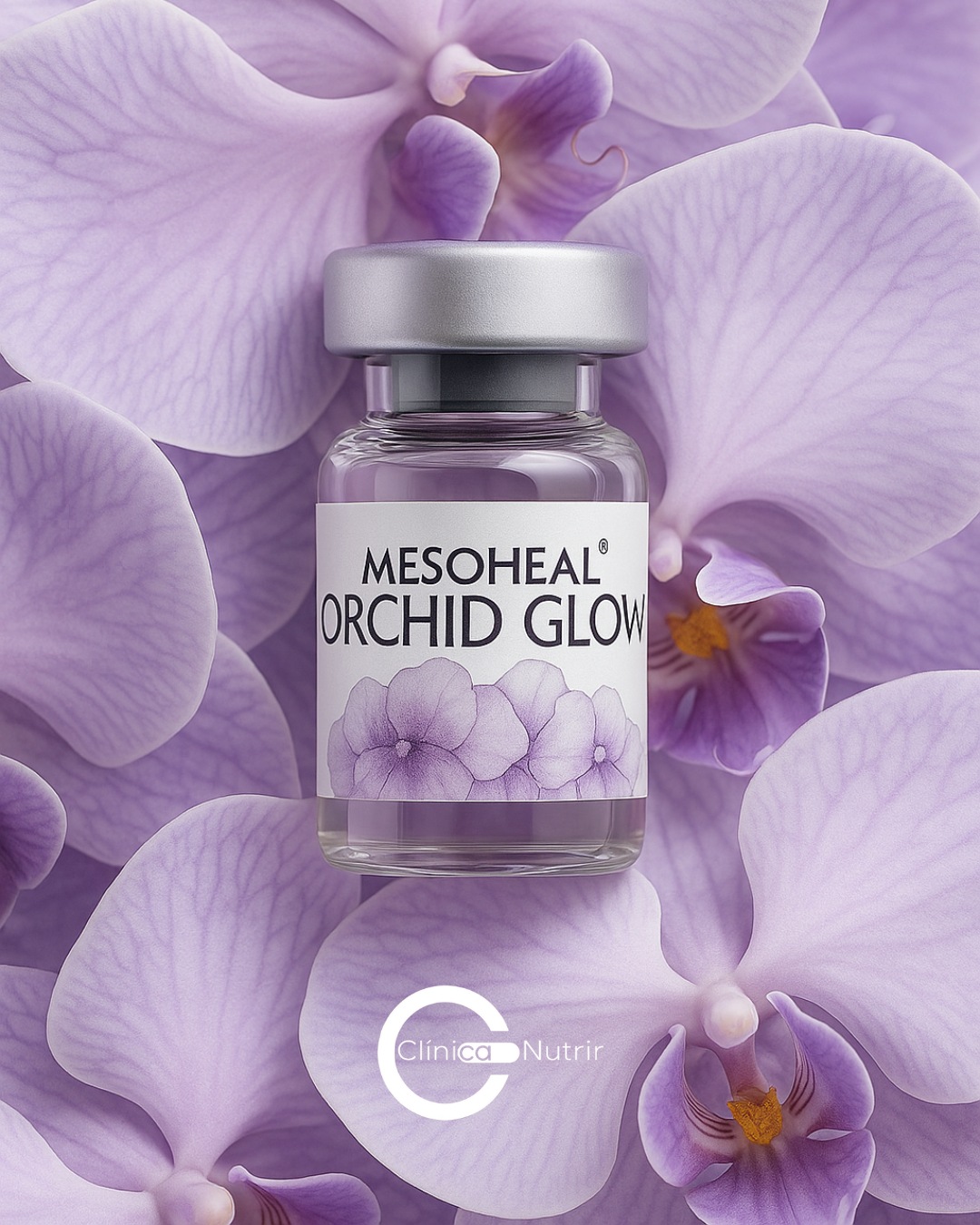 Orchid Glow
