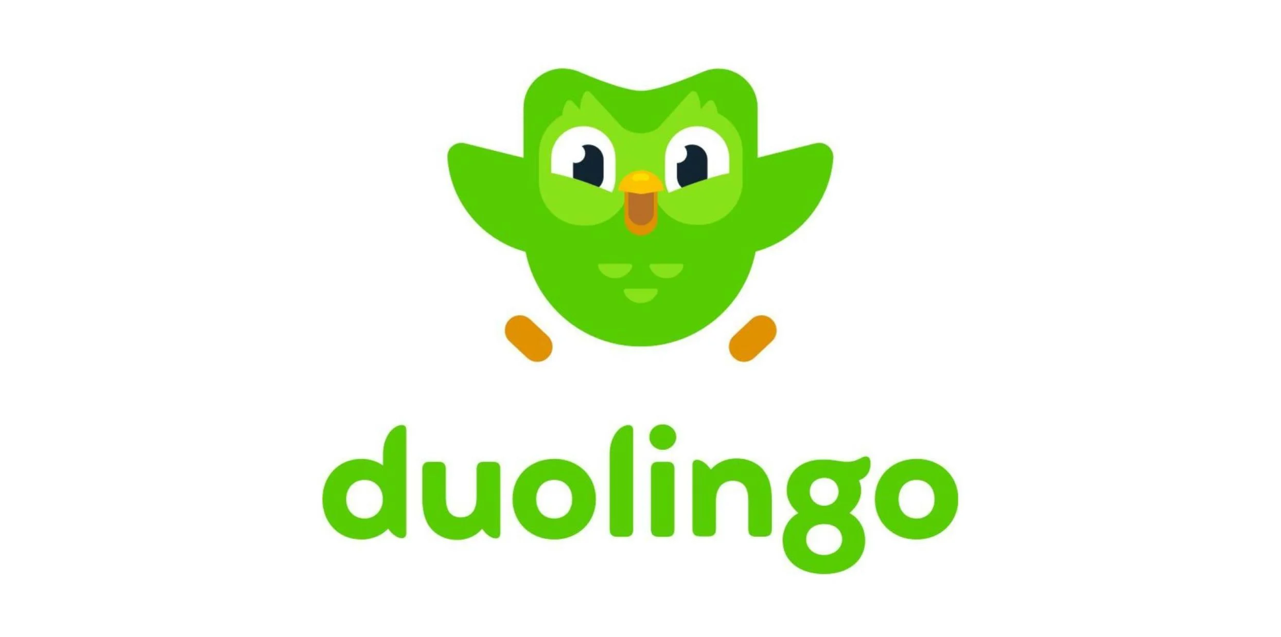 Duo Lingo Educational Video Game