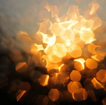 untitled image