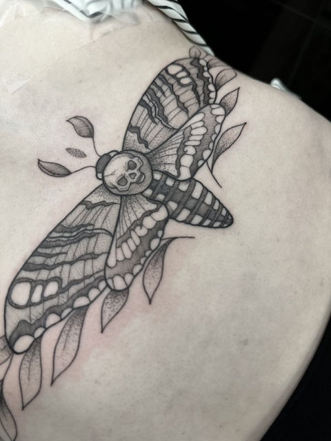 Minimalist fine line tattoo of a butterfly with thin outlines