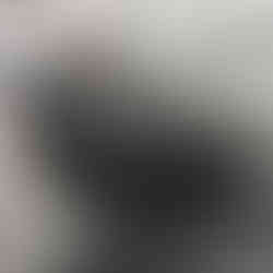 Rear bumper view of the PPF and ceramic coating on the Porsche