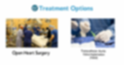 Two Treatment Options: TAVI and Surgery
