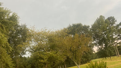 After The Storm…