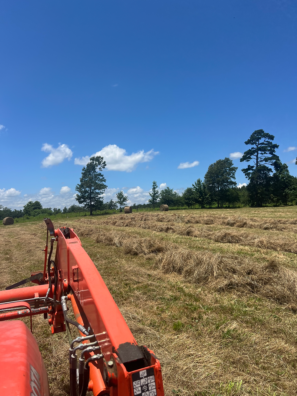 On The Right Path...6-24-25