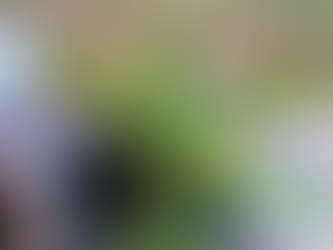 Mother Of A Thousand...