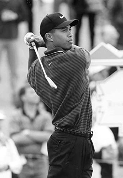 tiger woods 2.jpg