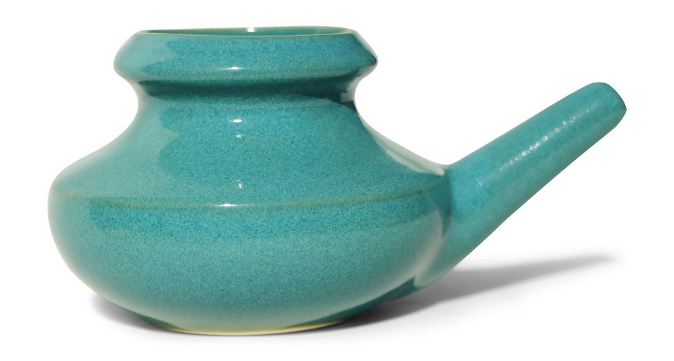 Thumbnail: baraka Neti Pot